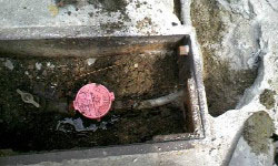 メーターボックス内で水が溜っています！